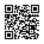 QR CODE 31