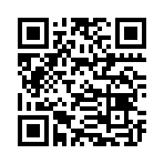 QR CODE 336