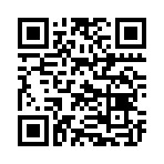 QR CODE 394