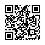 QR CODE 461