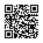 QR CODE 494