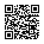 QR CODE 538