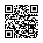 QR CODE 677