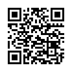 QR CODE 734