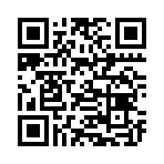QR CODE 737