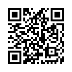 QR CODE 913
