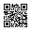 QR CODE 133