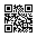 QR CODE 289