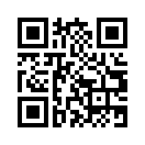 QR CODE 317