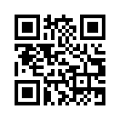 QR CODE 329