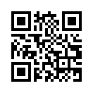 QR CODE 336