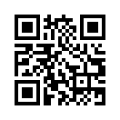 QR CODE 384