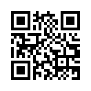 QR CODE 394