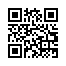 QR CODE 461