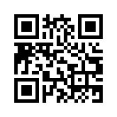 QR CODE 528