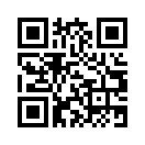 QR CODE 529