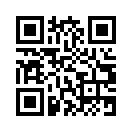 QR CODE 538