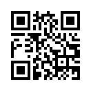 QR CODE 584