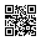 QR CODE 110