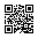 QR CODE 115