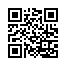 QR CODE 133