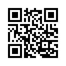 QR CODE 42