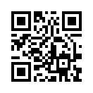 QR CODE 31