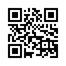 QR CODE 42