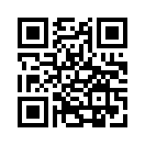 QR CODE 110