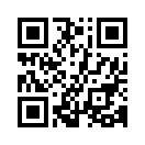 QR CODE 110