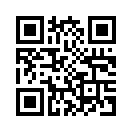 QR CODE 113