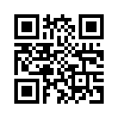 QR CODE 133