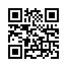 QR CODE 229