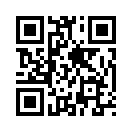 QR CODE 29