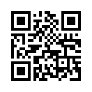 QR CODE 33
