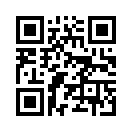 QR CODE 31