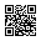 QR CODE 137