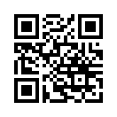 QR CODE 138