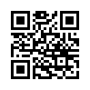 QR CODE 256