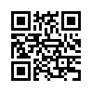 QR CODE 13