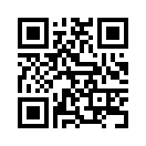 QR CODE 308