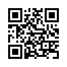 QR CODE 309