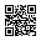 QR CODE 316