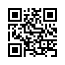 QR CODE 317