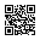 QR CODE 325