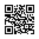 QR CODE 329