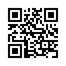 QR CODE 334