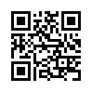 QR CODE 335