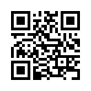 QR CODE 336