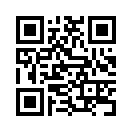 QR CODE 337